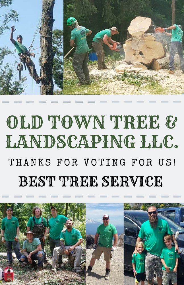 Old Town Tree and Landscaping