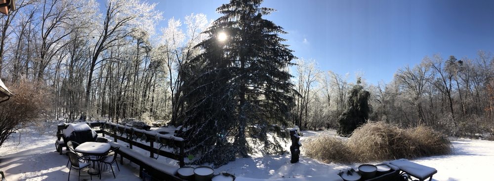 Arbor Artist