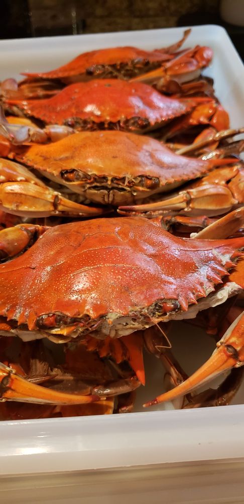 Harbour House Crabs