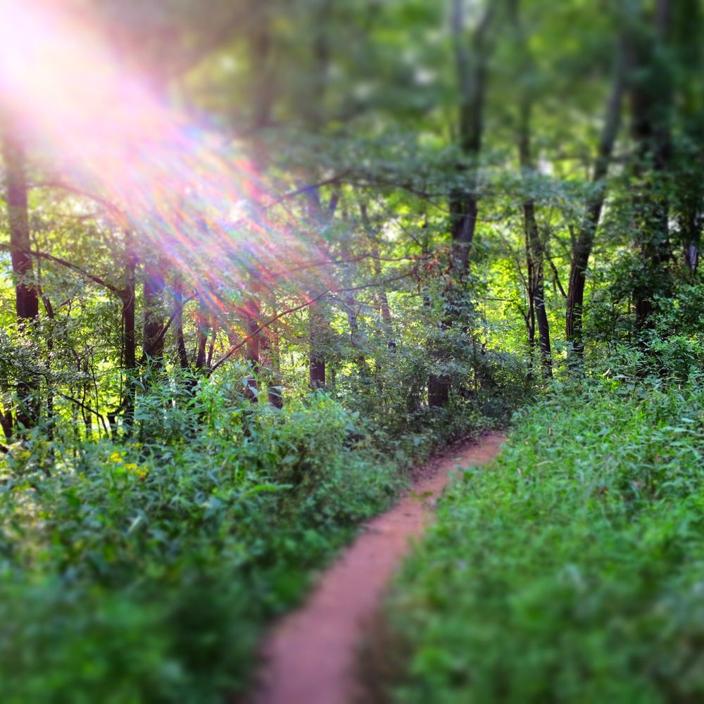 Lake Needwood