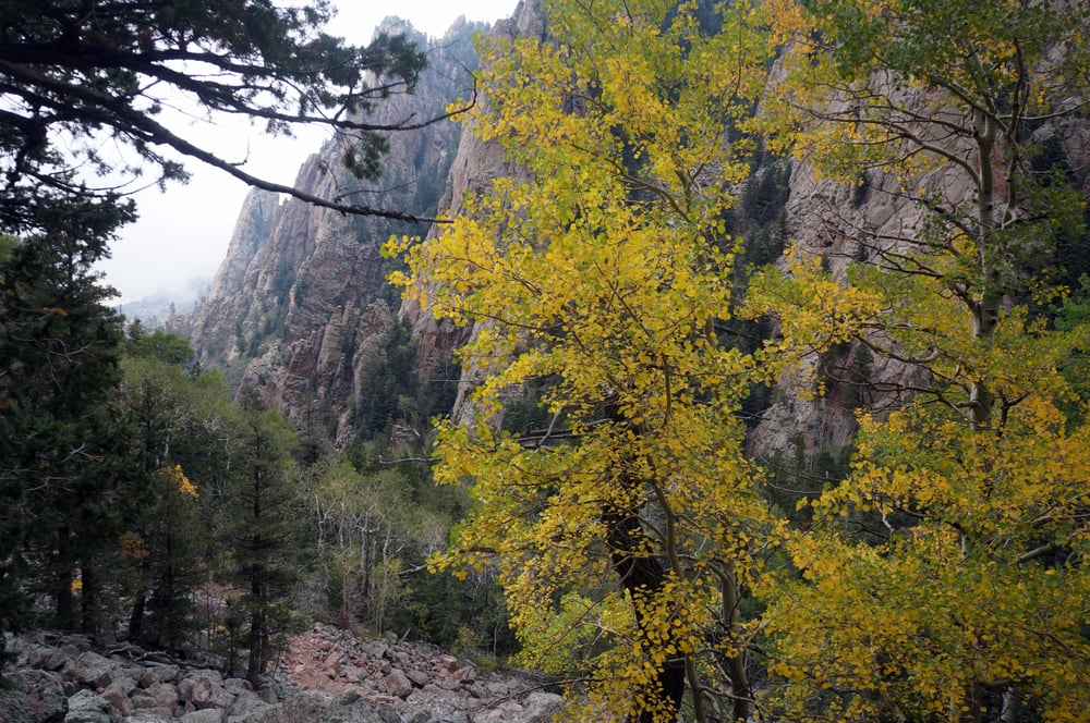 La Luz Trail 24 Photos & 10 Reviews Hiking Accessed via the