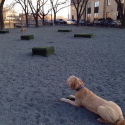 dog parks minneapolis dog parks minneapolis