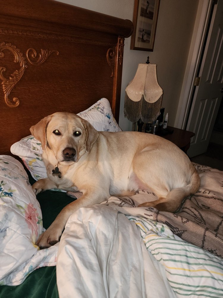 Cascade Pest Control