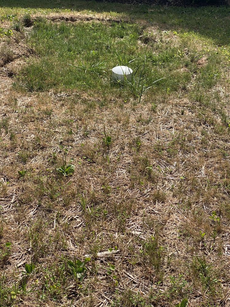 image of business Flowmasters Plumbing