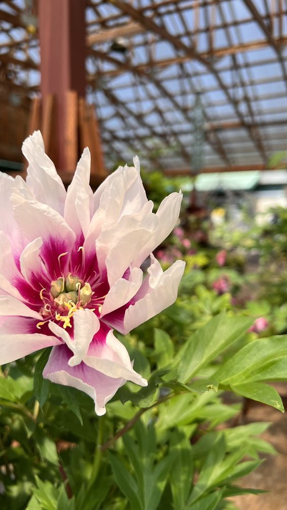 Bark & Garden Center