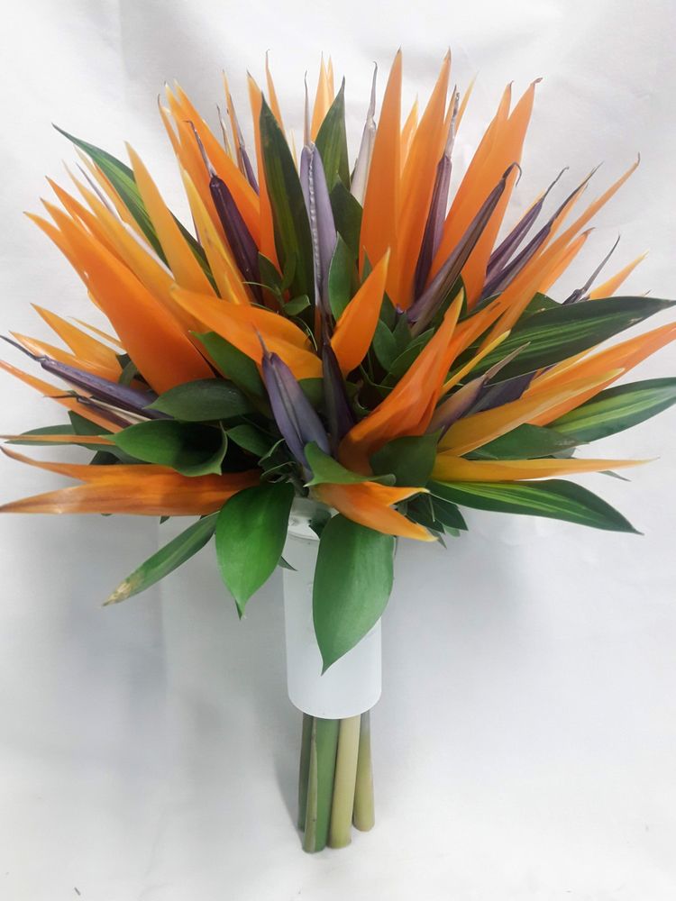 A Dutch Mill Flower Shop