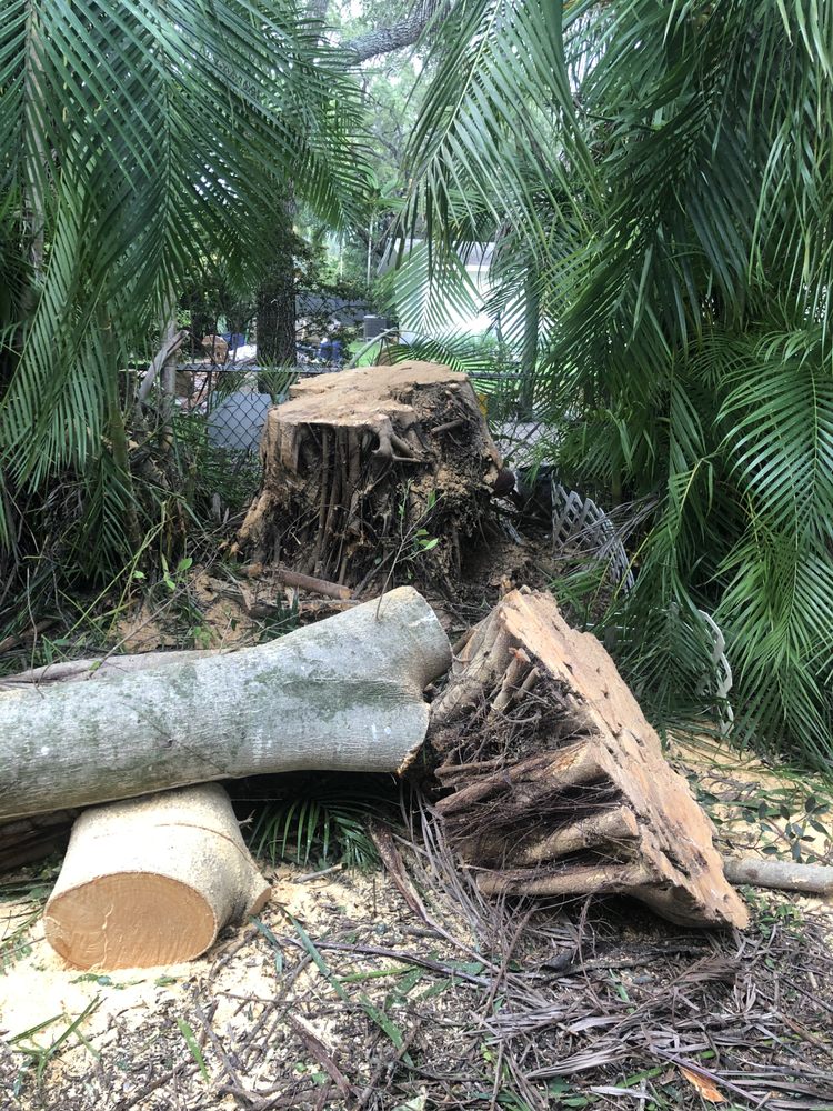 All Dade Tree Service