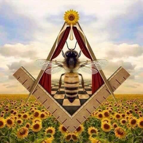 Live Bee Rescue