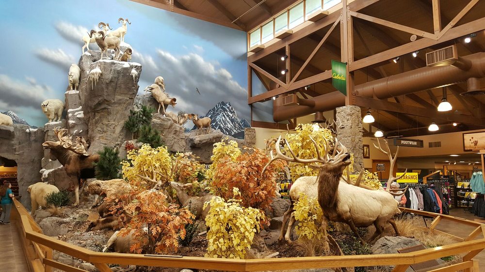 Cabela’s 21 Photos & 38 Reviews Outdoor Gear 115 Cabela Dr