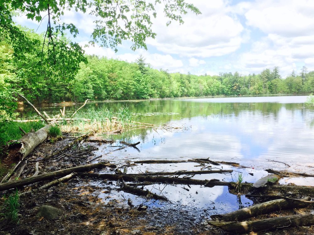 Livingston Park 18 Photos & 20 Reviews Parks 244 Hooksett Rd