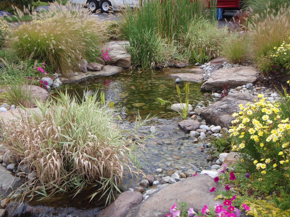 Sunrise Landscape and Design