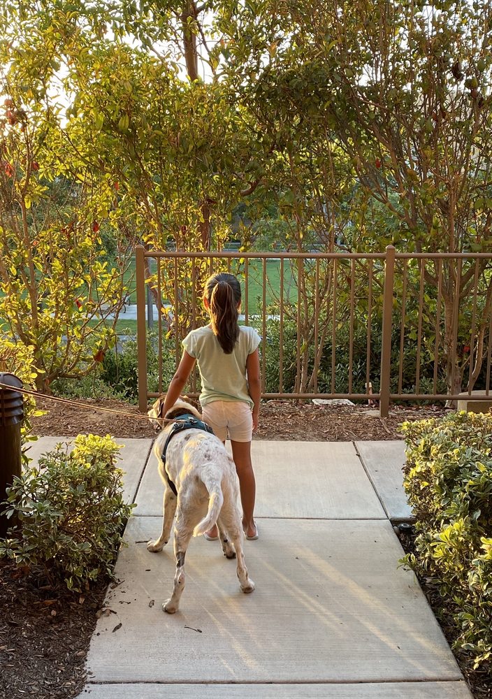 Veterinary Specialty Hospital
