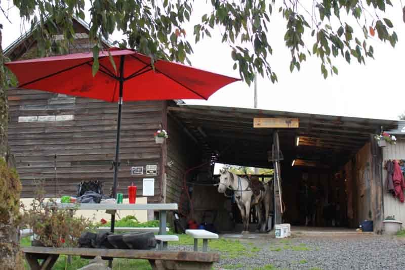 The Red Horse Farm