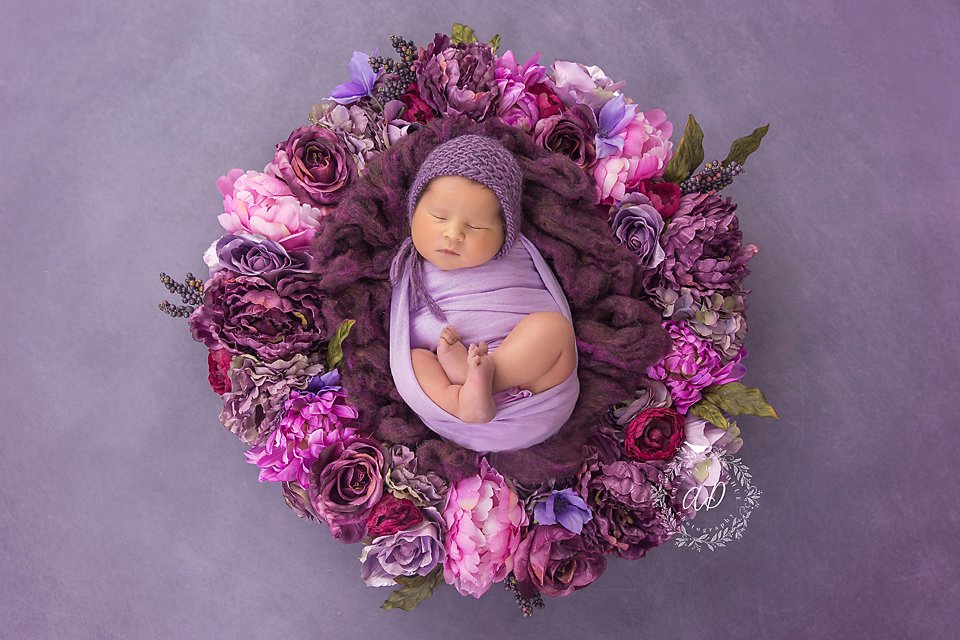 Amanda Donohue Photography