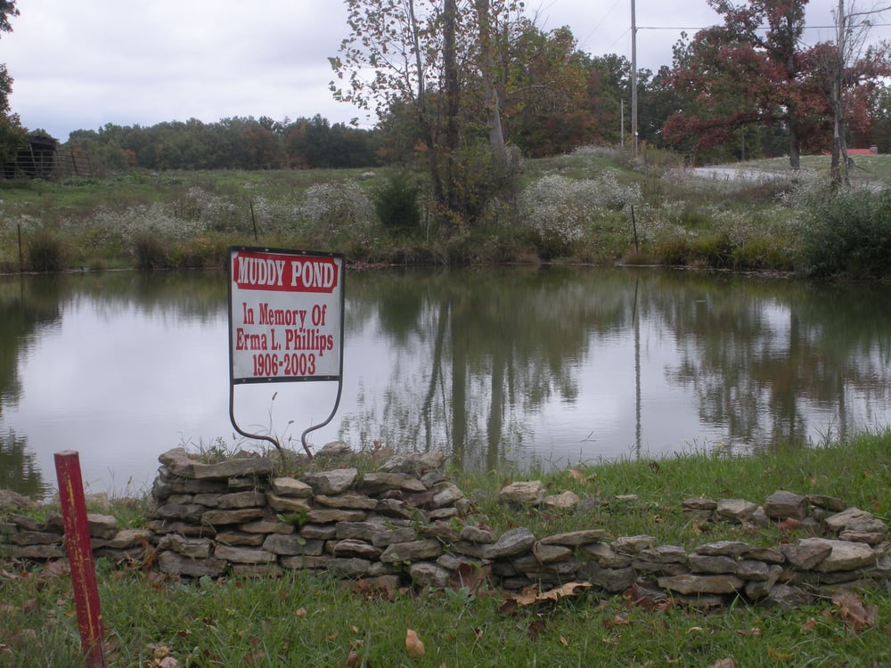 Clear Muddy Pond Water / In this article, we will cover the reasons for