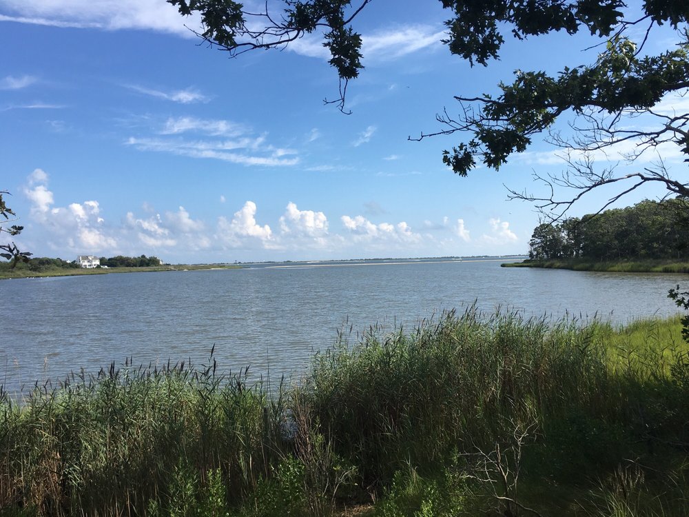 Terrell River County Park 45 Photos Parks Montauk Hwy, Center