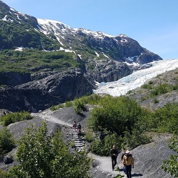 exit glacier and harding icefield trail 223 photos 62 reviews