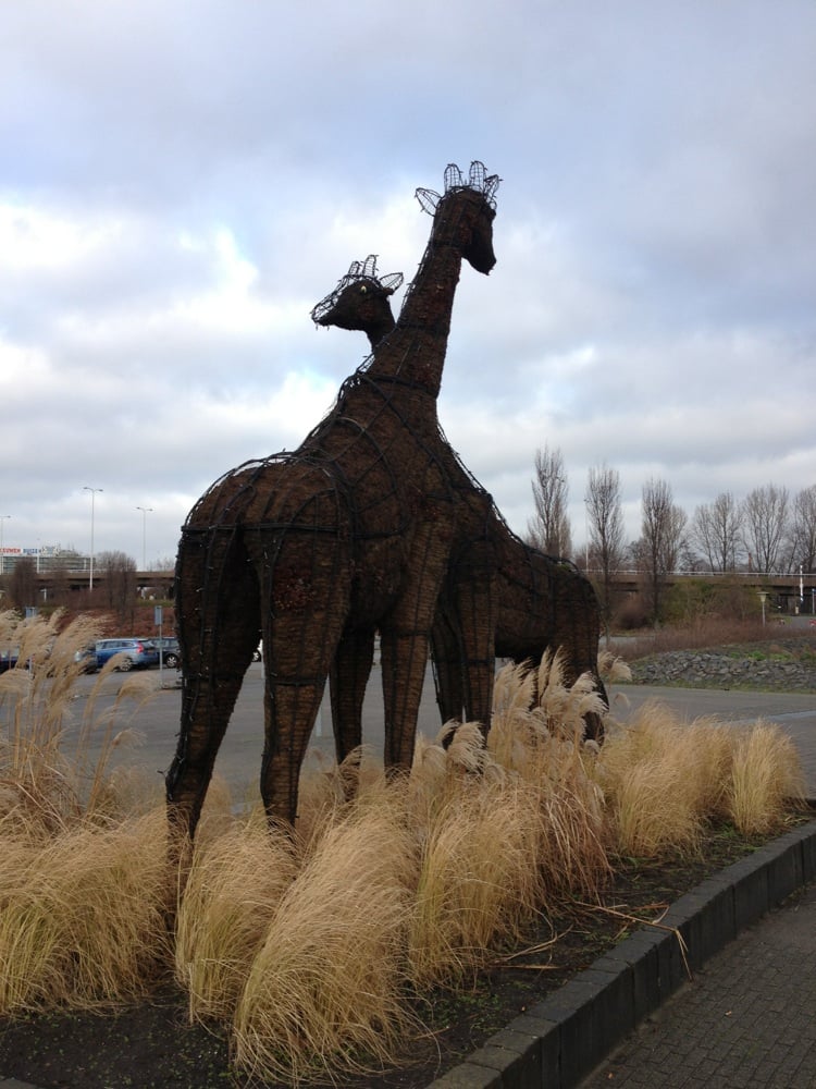dierentuin blijdorp telefoonnummer