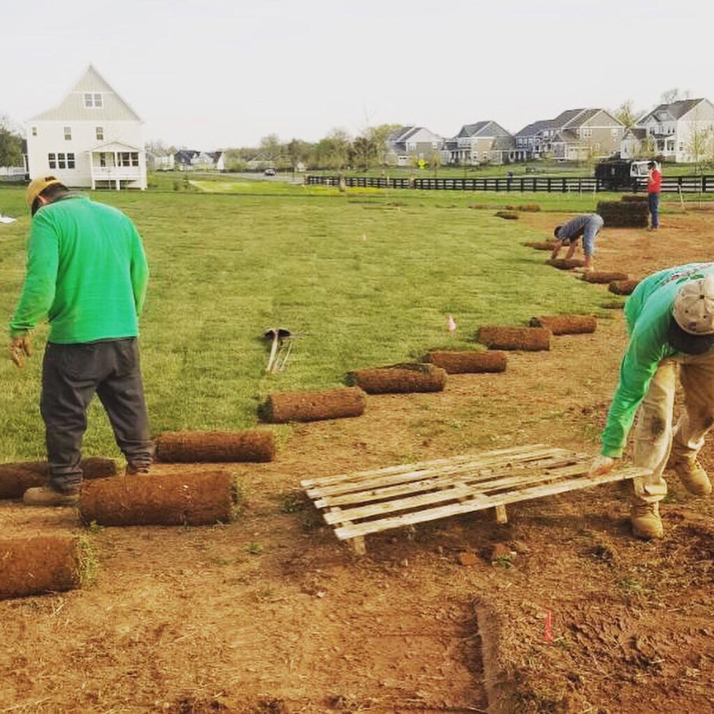 Green Landscaping