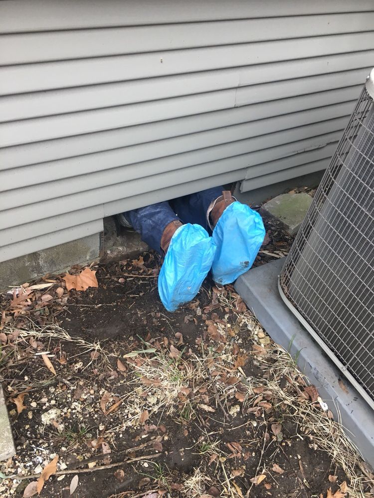 Burgess Inspection Group 12 Reviews Home Inspectors 1255 W Burgess Inspection