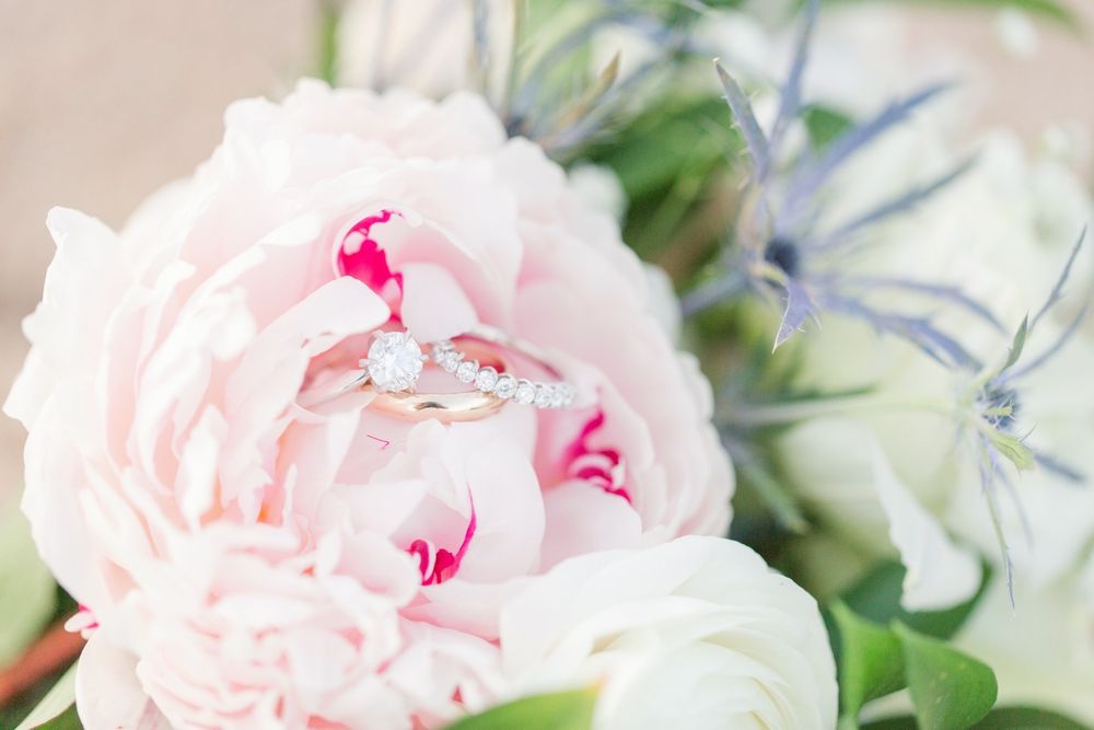 Alicia Q Photography