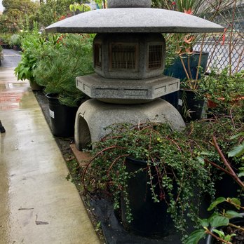 Yamaguchi Bonsai Nursery 154 Photos 82 Reviews Nurseries Photo Of Yamaguchi Bonsai Nursery Los Angeles Ca United States