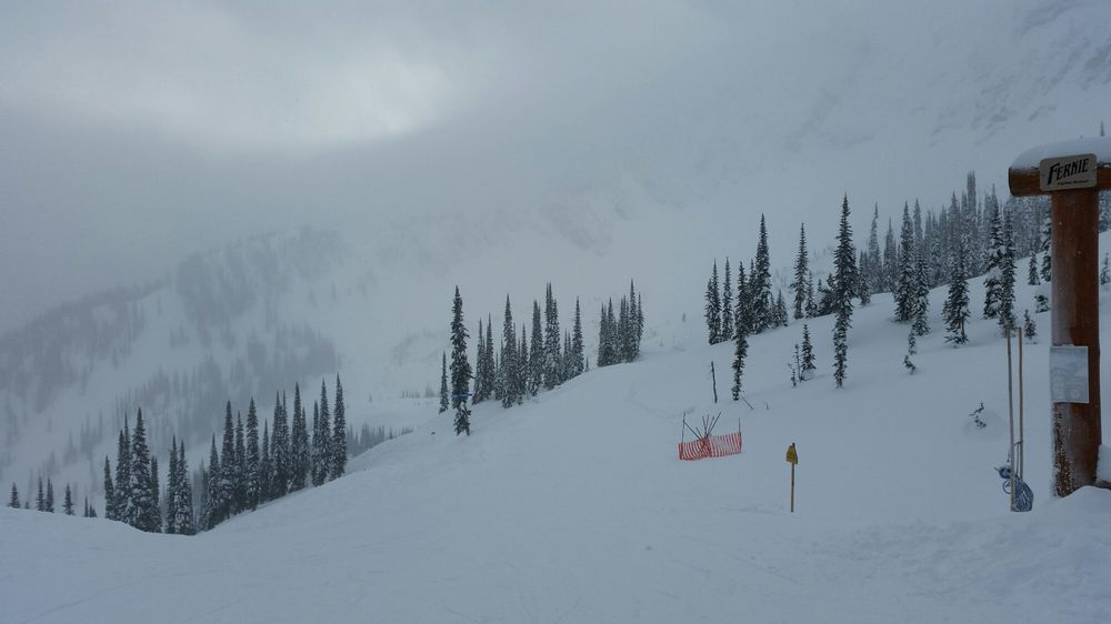 Fernie Alpine Resort 22 Photos & 13 Reviews Ski Resorts 5339 Ski