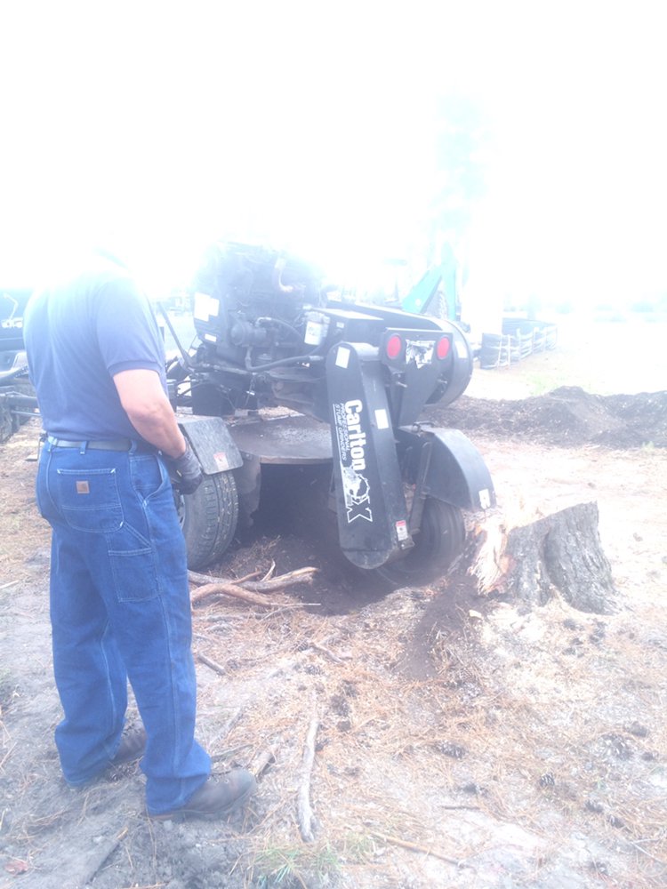 Tony's Affordable Tree Service