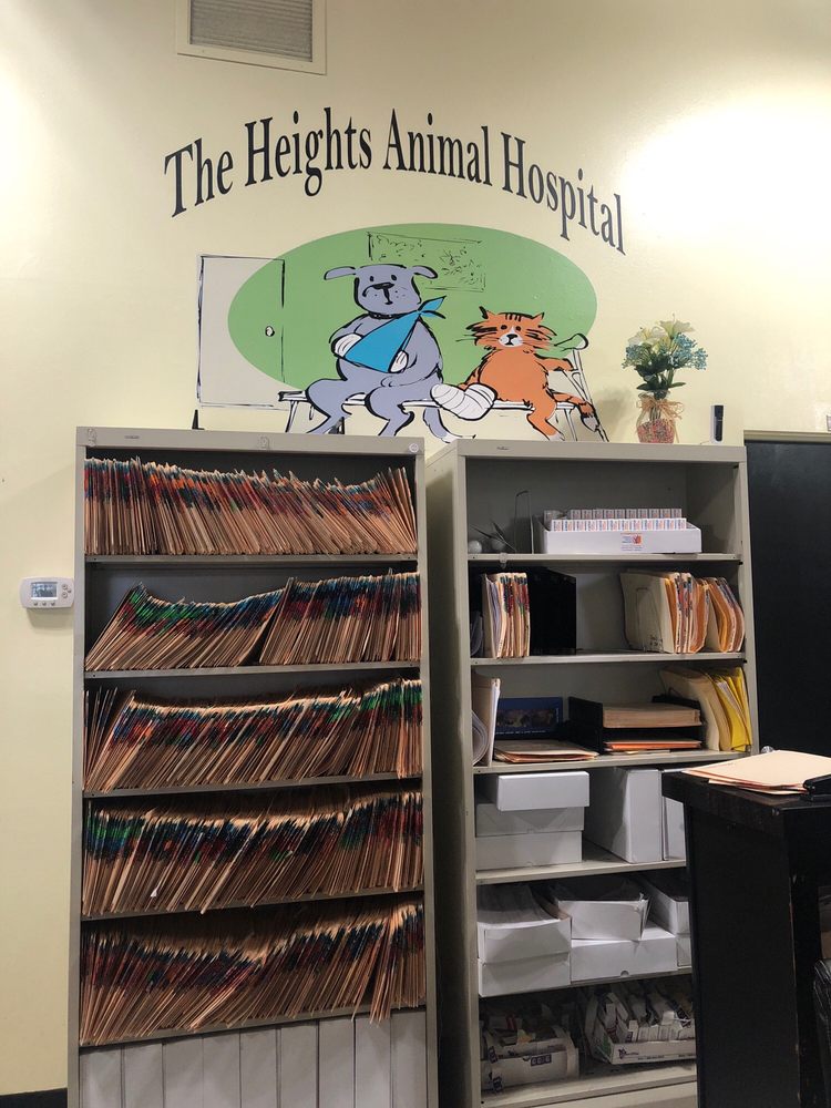 Colima Animal Hospital 3205 S Hacienda Blvd Hacienda Heights Ca 91745