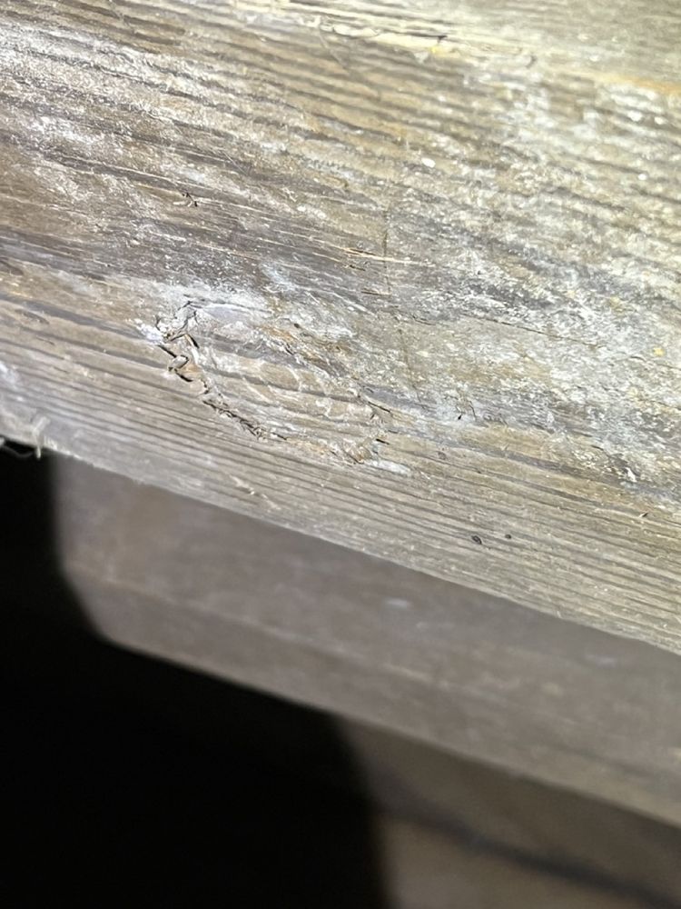image of business Southern Elevations and Shoring