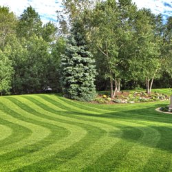 Dedicated Landscaping 11756 Adams St Denver Dedicated Landscaping 11756 Adams St Denver