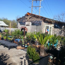 Jo S Garden Depot Closed Nurseries Gardening 10814 A N Photo Of Jo S Garden Depot Austin Tx United States