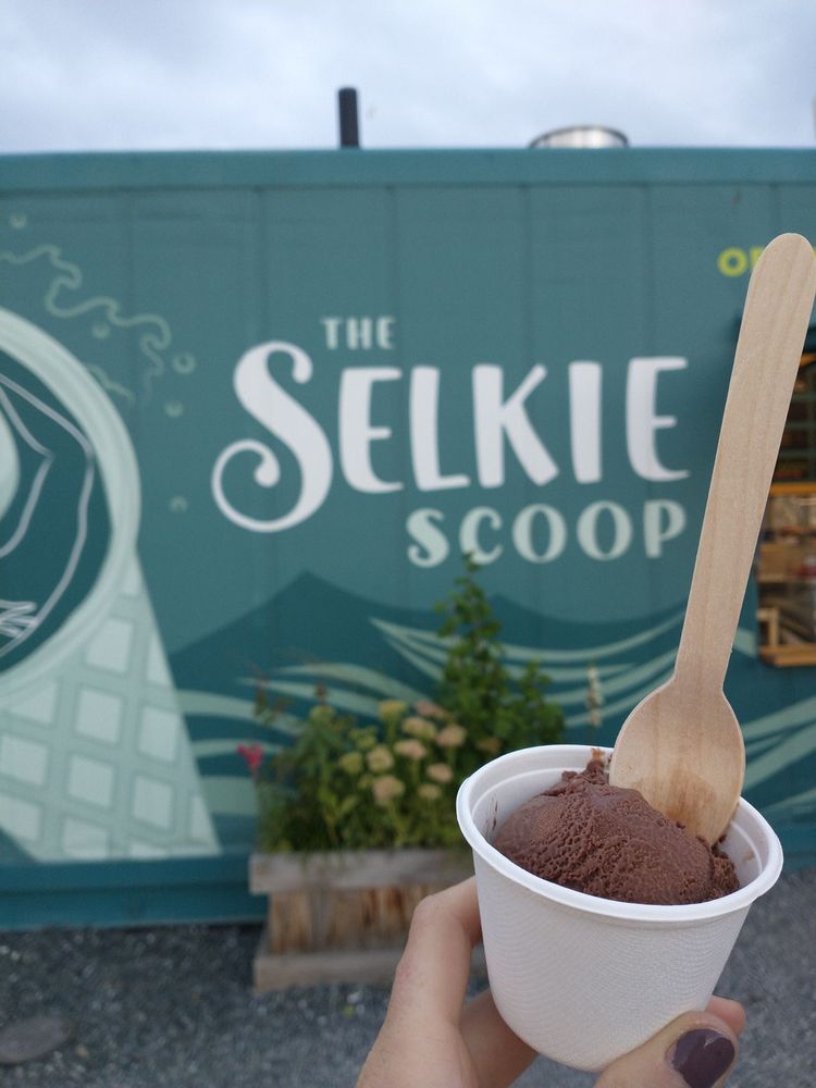The Selkie Scoop