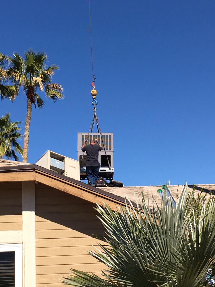 image of business Steve