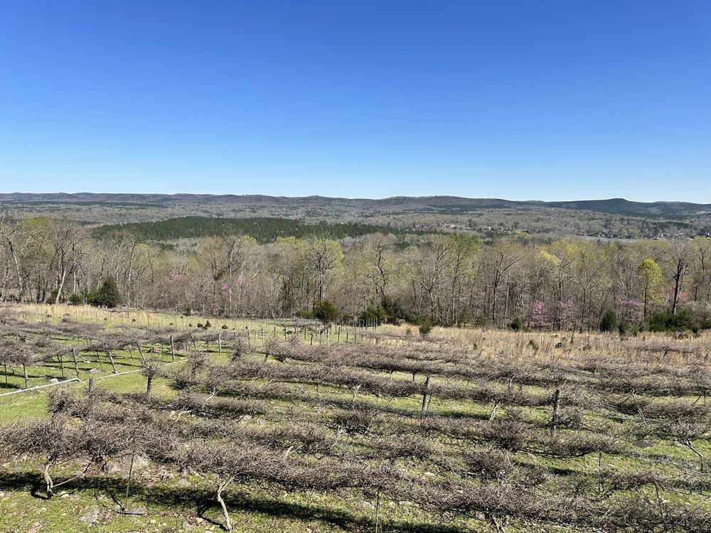 Stony Mountain Vineyards