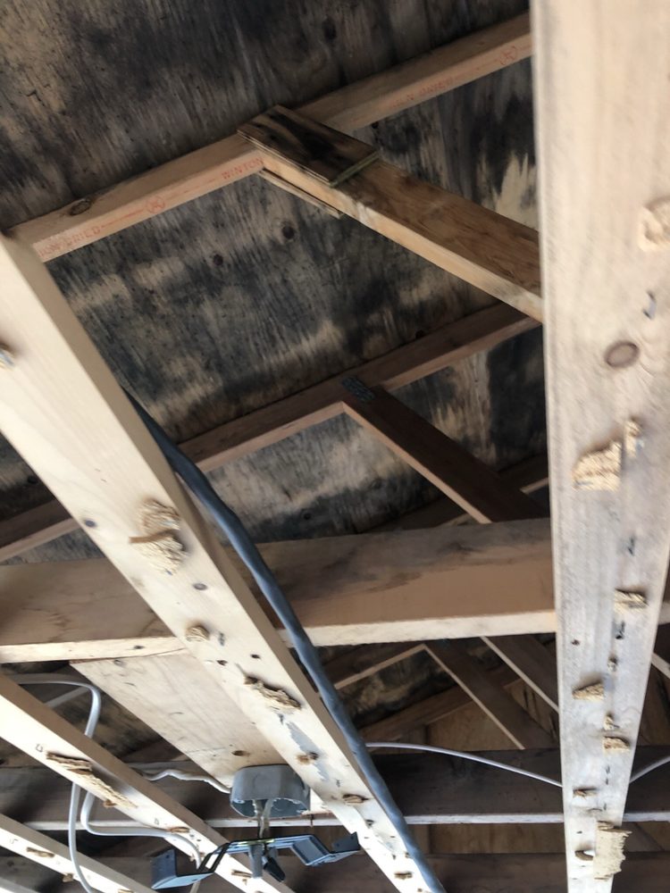 image of business Leo McHugh Builders