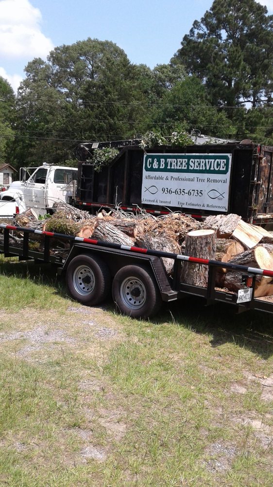 C & B Tree Service