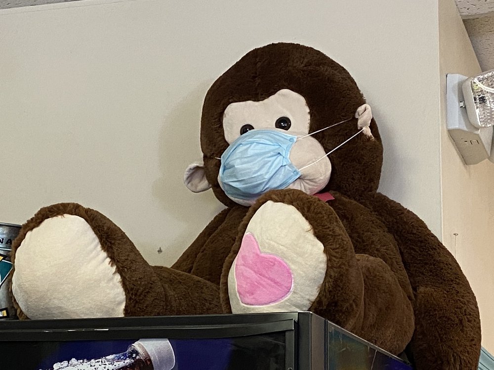 Popcorn Monkey