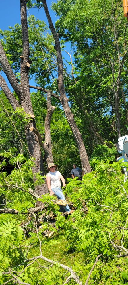 UpRooted Tree Service