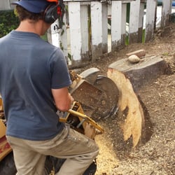 Dynamite Stump Grinding - 15 Photos & 22 Reviews - Tree ...