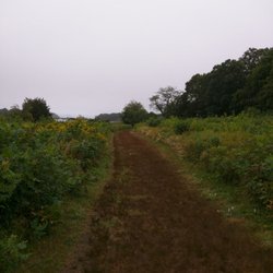 Haley Farm State Park 13 Photos Parks Haley Farm Ln, Groton, CT