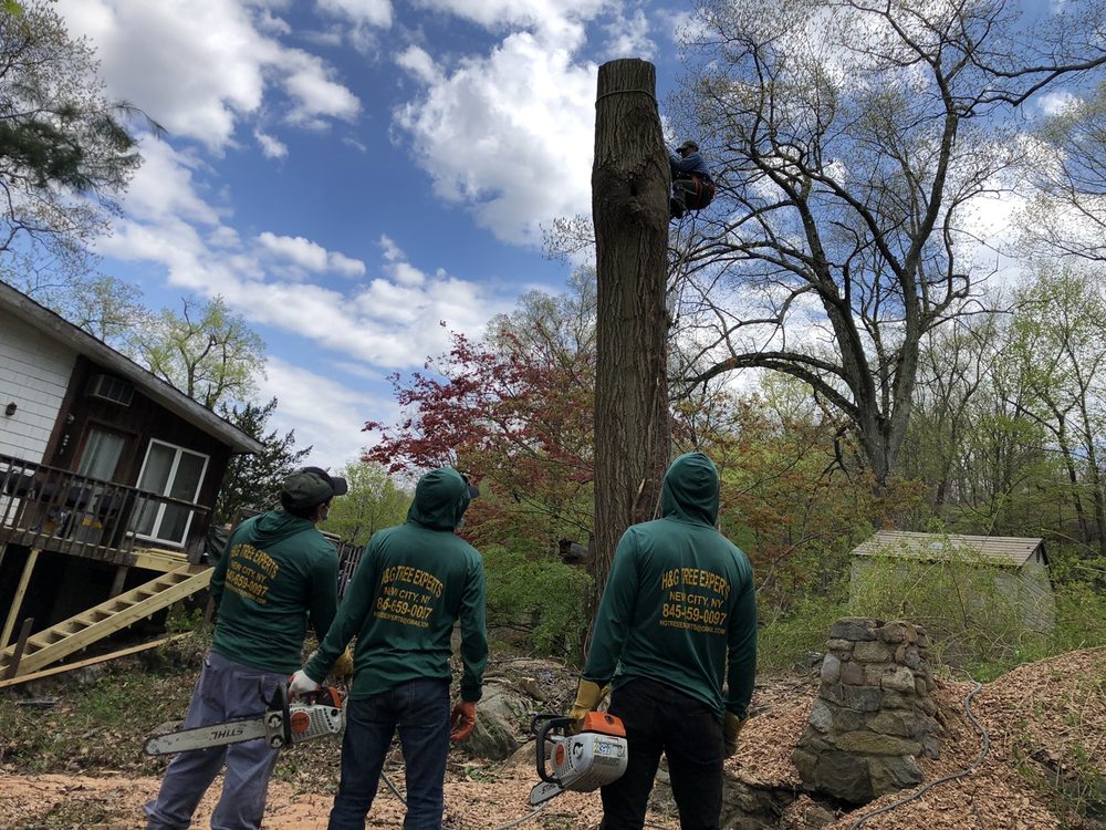 H & G Tree Experts