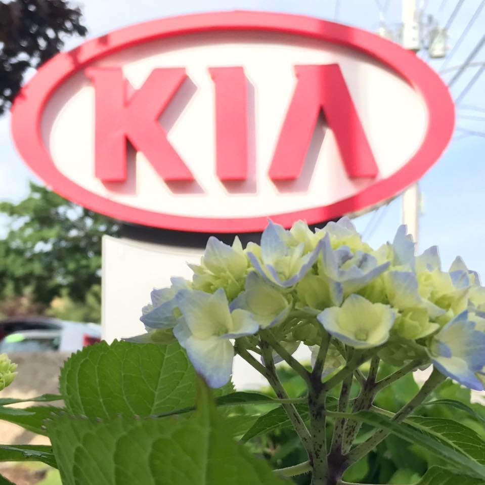 Cape & Islands Kia Car Dealers 760 Rt 28, South Yarmouth, MA Phone Number Yelp