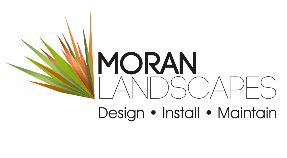 Moran Landscapes