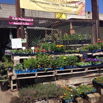 City Farmers Nursery New 578 Photos 281 Reviews Nurseries City Farmers Nursery New 578 Photos