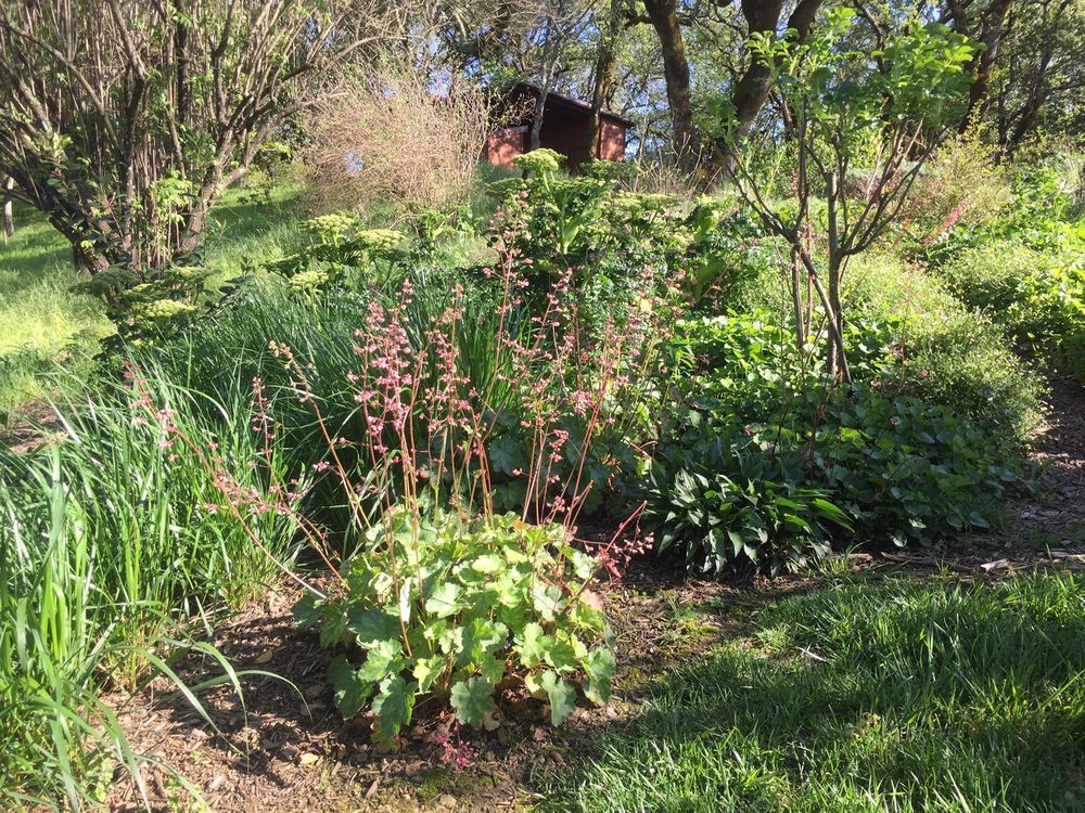 Gemini Landscaping Services