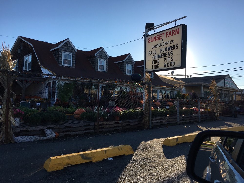 Sunset Farm Market 17 Reviews Farmers Market 3210 Sunset Ave