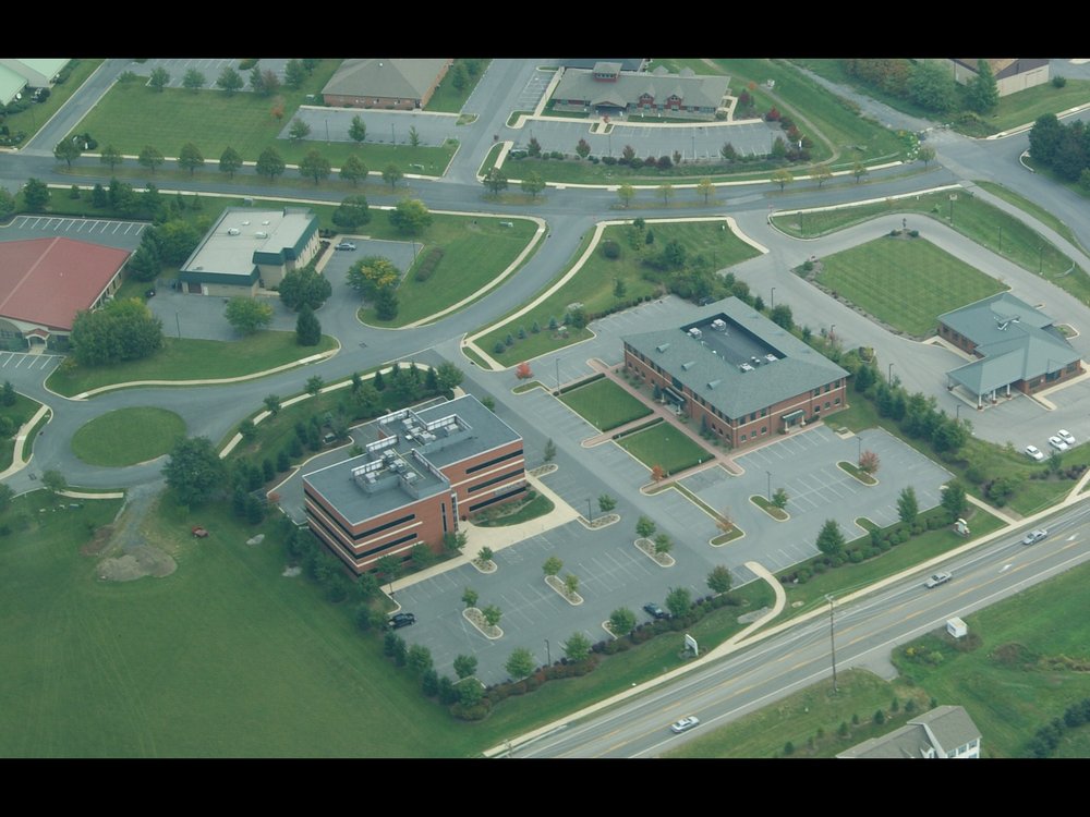 image of business David R Curtis, DMD