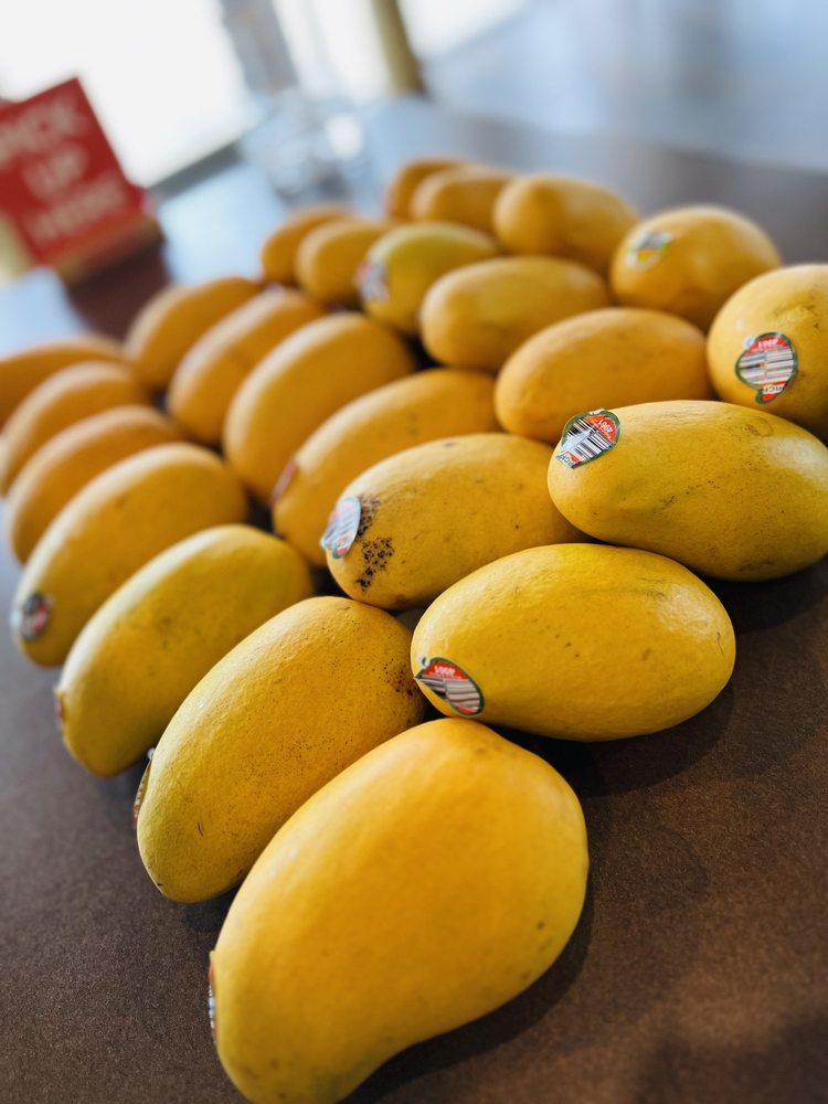 Mango Tree