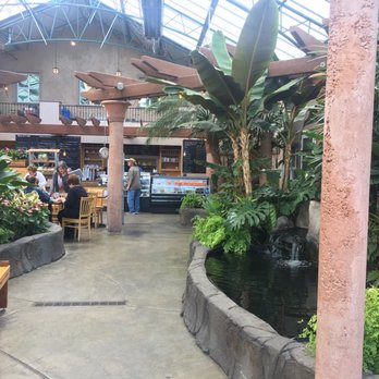 Swansons Nursery 184 Photos 183 Reviews Nurseries Gardening Photo Of Swansons Nursery Seattle Wa United States The Cafe